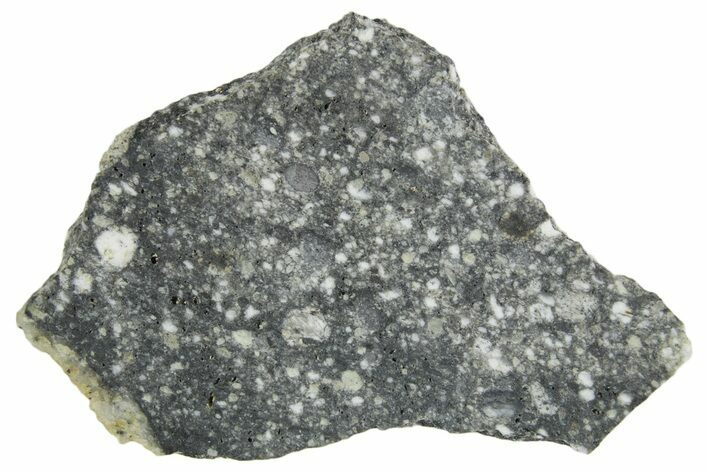 Polished Lunar Meteorite ( g) Slice - Aridal #360163